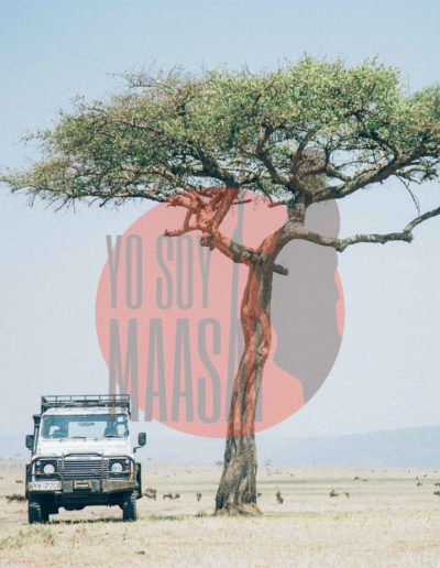 Maasai Mara safari